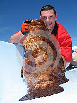 Grouper fish