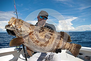 Grouper fish photo