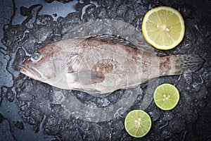 Grouper fish on ice, Fresh raw seafood fish for cooked food