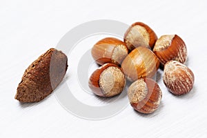 Grouping of Hazelnuts and One Brazil nut photo