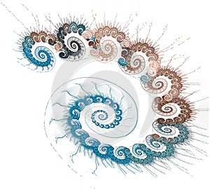 Groups of blue and brown spirals are stacked into a large fluffy spiral in a shell on a white background. Abstract fractal