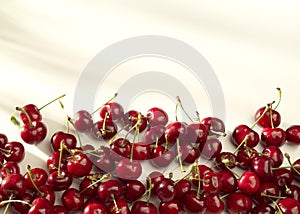 Groups of cherries on a white background in sunny light