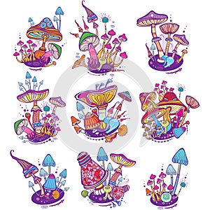 Groups of decorative mushrooms photo