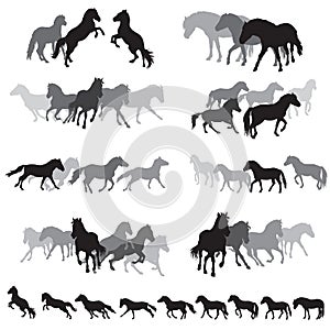 Groups of isolated horses silhouettes-3