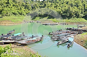 Groups of long-tailed boat.