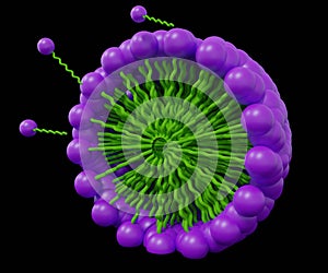 The groups of micelles detergent formation