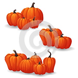 Groups of ripe orange pumpkins isolated on white background.