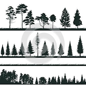 Groups of tree silhouettes - conifers, shrubs, grass - vectors