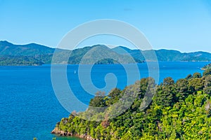 Grove arm of Queen Charlotte sound at South Island of New Zeland