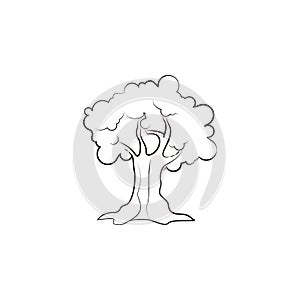 Grove, olive, leaf icon. Element of oil icon for mobile concept and web apps. Hand drawn Grove, olive, leaf icon can be used for w
