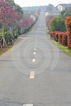 In the grove Road-flower and seedling industry