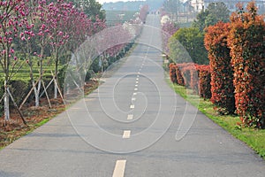 In the grove Road-flower and seedling industry