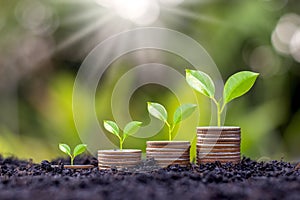 Grow early on coins and soil ideas for saving money, financial growth.