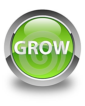 Grow glossy green round button