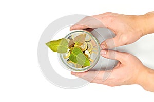 Grow investment, business, make money, interest, and savings concept. Hand holding glass jar of coins with growing plant.