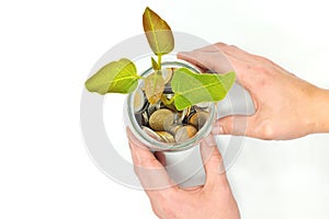 Grow investment, business, make money, interest, and savings concept. Hand holding glass jar of coins with growing plant.