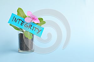 Grow and nurture integrity concept. Plant on pot with flower on blue background with copy space.