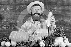 Grow organic crops. Man cheerful bearded farmer hold corncob or maize wooden background. Farmer straw hat presenting