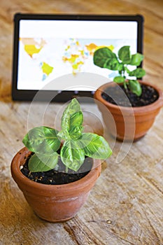 Grow plants indoor