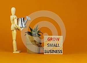 Grow small business symbol. Wooden blocks with words `grow small business`. Wooden manequin, house plant, miniature watering can