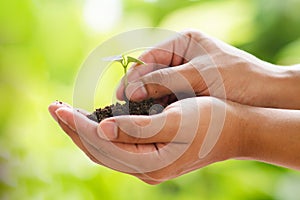 Grow small plant on hand, business risk and financial concept.