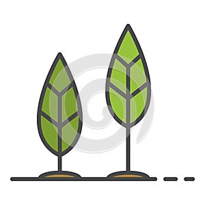 Grow up leaf icon color outline vector