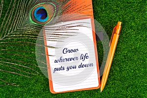 Grow wherever life puts you down photo