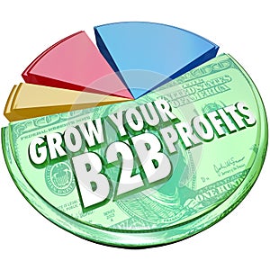 Grow Your B2B Profits Pie Chart Increase Business Sales