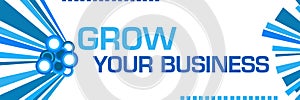 Grow Your Business Blue Graphics Horizontal