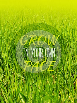 Grow in your own pace - inspirational motivation quote