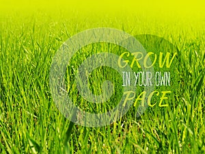 Grow in your own pace - inspirational motivation quote