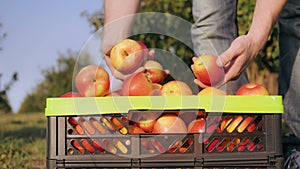 Grower close up with a harvested crop