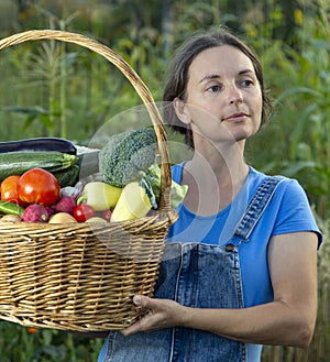 Grower rich harvest of vegetables, Nice woman gardener huge harvest for Thanksgiving