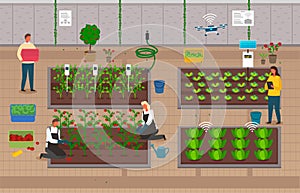 Growers using modern technologies for growing eco plants, distant control at process, farm develop