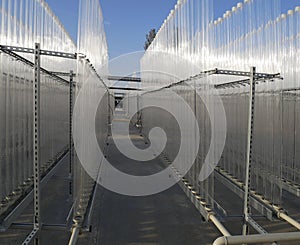 Growing algae in small bioreactors