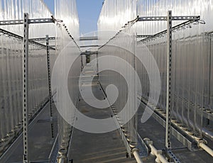 Growing algae in small bioreactors