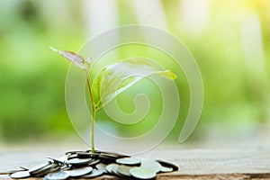 Growing Business Growth and Financial Cultivation of Plants from Coins in Glass Bottles on Green Background