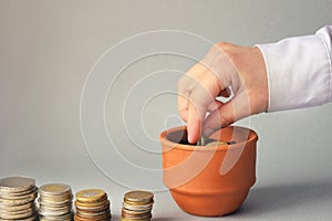 Growing coins in a ceramic gosh - investment concept