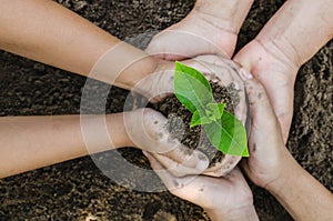 Growing concept eco Group hand children planting together on so