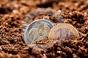 Growing euro coins