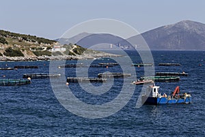 Growing fish in the open sea, view of the ponds with fish