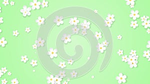 Growing floral background, paper flowers appearing, botanical pattern, bridal round bouquet, paper craft, 4k animation