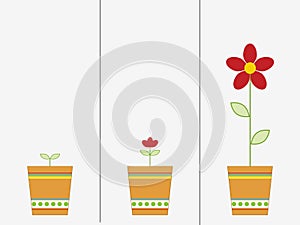 Growing flower