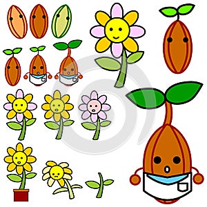 Growing flower vector