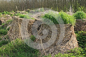 Bales of hay in the park in spring.