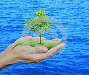 Growing green tree in hands over blue sea background, Environment concept