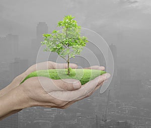 Growing green tree in hands over pollution city tower, Environment concept