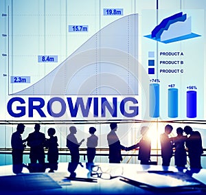 Growing Growth Success Business Aim Target Concept