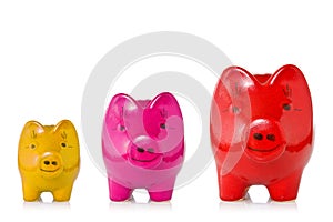 Growing investment concept