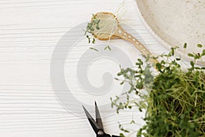 Growing microgreens at home. Flax sprouts on ceramic spoon, plate, scissors, sprouter on white wood